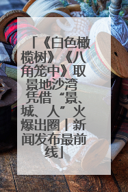 《白色橄榄树》《八角笼中》取景地沙湾 凭借“景、城、人”火爆出圈丨新闻发布最前线