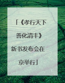 《孝行天下 善化清丰》新书发布会在京举行