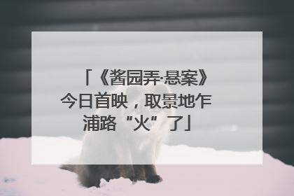 《酱园弄·悬案》今日首映，取景地乍浦路“火”了