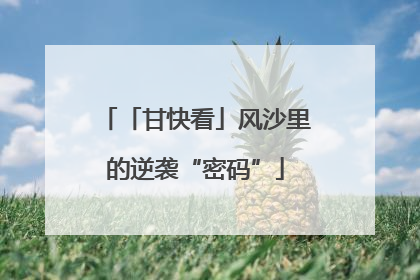 「甘快看」风沙里的逆袭“密码”
