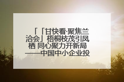 「甘快看·聚焦兰洽会」梧桐枝茂引凤栖 同心聚力开新局——中国中小企业投资洽谈会侧记