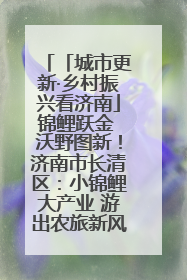 「城市更新·乡村振兴看济南」锦鲤跃金 沃野图新！济南市长清区：小锦鲤大产业 游出农旅新风景