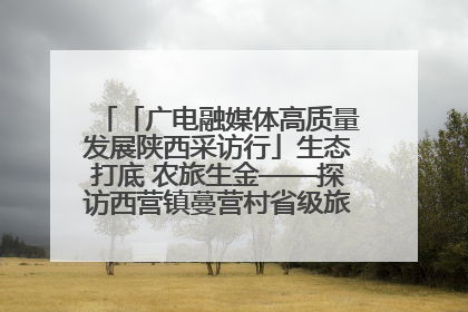 「广电融媒体高质量发展陕西采访行」生态打底 农旅生金——探访西营镇蔓营村省级旅游示范村的振兴密码