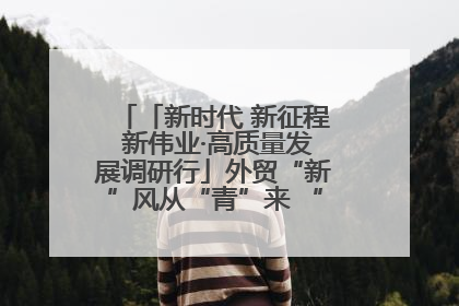「新时代 新征程 新伟业·高质量发展调研行」外贸“新”风从“青”来 “双向奔赴”启新程