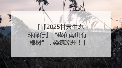 「2025甘肃生态环保行」“我在南山有棵树”，染绿凉州！