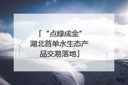 “点绿成金” 湖北首单水生态产品交易落地