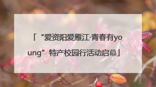 “爱资阳爱雁江·青春有young”特产校园行活动启幕