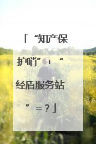 “知产保护哨”+“经盾服务站”=？