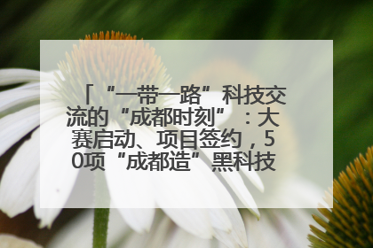 “一带一路”科技交流的“成都时刻”：大赛启动、项目签约，50项“成都造”黑科技吸引多国客商