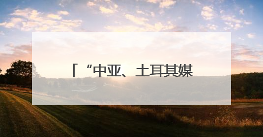 “中亚、土耳其媒体新疆行”启动