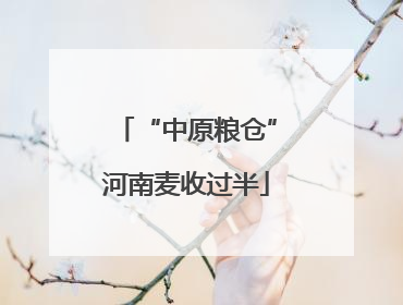 “中原粮仓”河南麦收过半