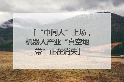 “中间人”上场，机器人产业“真空地带”正在消失