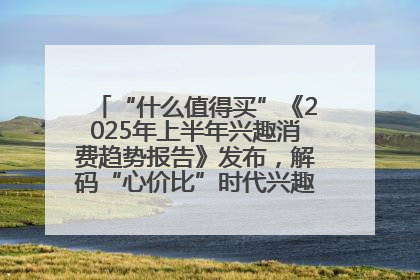 “什么值得买”《2025年上半年兴趣消费趋势报告》发布，解码“心价比”时代兴趣消费新范式
