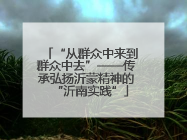 “从群众中来到群众中去”——传承弘扬沂蒙精神的“沂南实践”