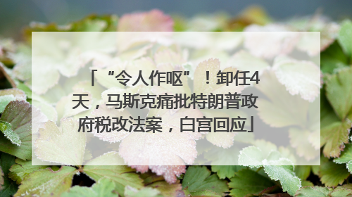 “令人作呕”！卸任4天，马斯克痛批特朗普政府税改法案，白宫回应