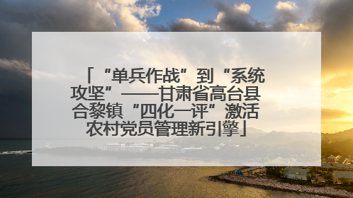 “单兵作战”到“系统攻坚”——甘肃省高台县合黎镇“四化一评”激活农村党员管理新引擎