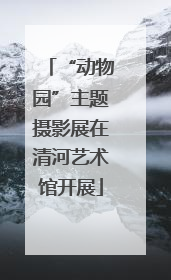 “动物园”主题摄影展在清河艺术馆开展