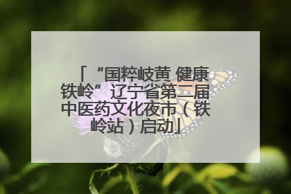 “国粹岐黄 健康铁岭”辽宁省第二届中医药文化夜市（铁岭站）启动