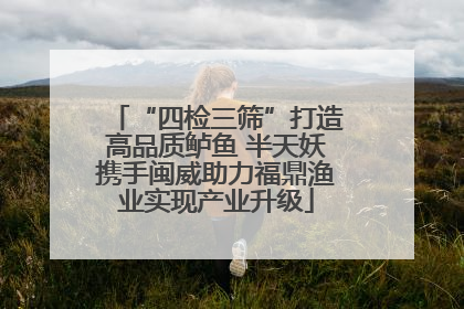 “四检三筛”打造高品质鲈鱼 半天妖携手闽威助力福鼎渔业实现产业升级