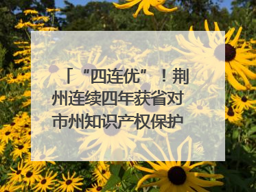 “四连优”！荆州连续四年获省对市州知识产权保护考核优秀等次