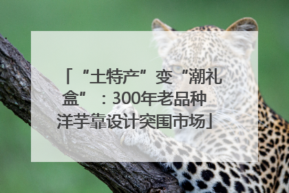 “土特产”变“潮礼盒”：300年老品种洋芋靠设计突围市场