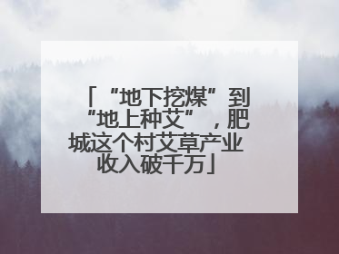 “地下挖煤”到“地上种艾”，肥城这个村艾草产业收入破千万