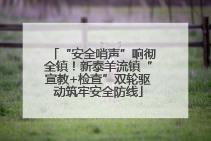 “安全哨声”响彻全镇！新泰羊流镇“宣教+检查”双轮驱动筑牢安全防线