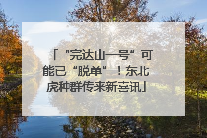 “完达山一号”可能已“脱单”！东北虎种群传来新喜讯