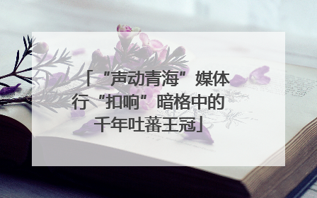 “声动青海”媒体行“扣响”暗格中的千年吐蕃王冠