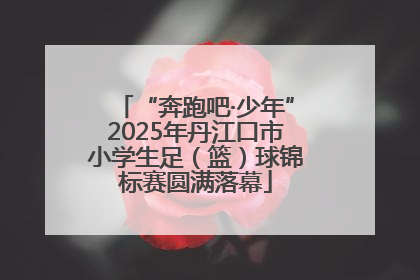 “奔跑吧·少年”2025年丹江口市小学生足（篮）球锦标赛圆满落幕