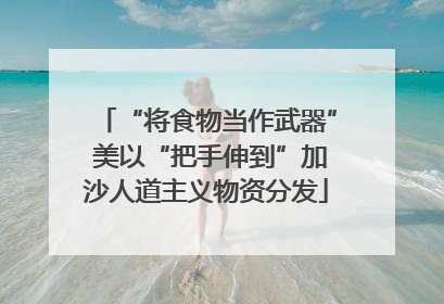 “将食物当作武器” 美以“把手伸到”加沙人道主义物资分发