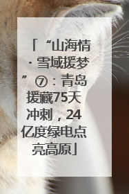 “山海情・雪域援梦”⑦：青岛援藏75天冲刺，24亿度绿电点亮高原