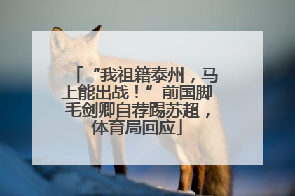 “我祖籍泰州，马上能出战！”前国脚毛剑卿自荐踢苏超，体育局回应