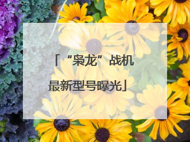 “枭龙”战机最新型号曝光