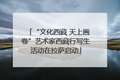 “文化西藏 天上画卷”艺术家西藏行写生活动在拉萨启动