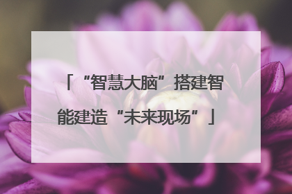 “智慧大脑”搭建智能建造“未来现场”