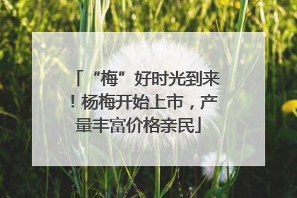“梅”好时光到来！杨梅开始上市，产量丰富价格亲民