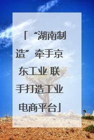 “湖南制造”牵手京东工业 联手打造工业电商平台