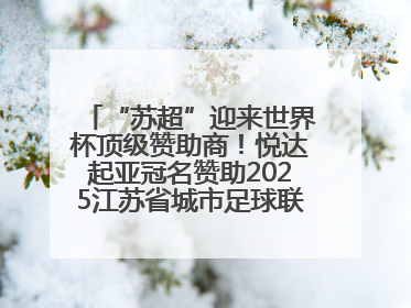 “苏超”迎来世界杯顶级赞助商！悦达起亚冠名赞助2025江苏省城市足球联赛盐城赛区