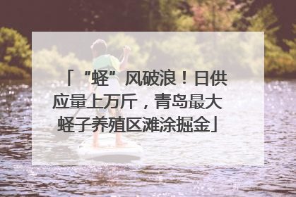 “蛏”风破浪！日供应量上万斤，青岛最大蛏子养殖区滩涂掘金