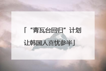 “青瓦台回归”计划让韩国人喜忧参半
