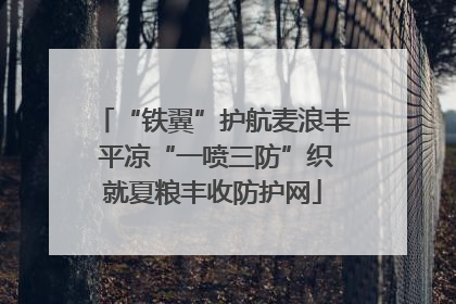 “铁翼”护航麦浪丰 平凉“一喷三防”织就夏粮丰收防护网