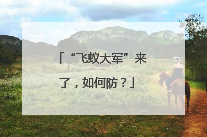 “飞蚁大军”来了，如何防？