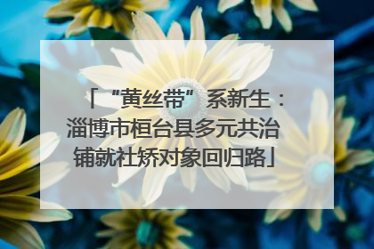 “黄丝带”系新生：淄博市桓台县多元共治铺就社矫对象回归路