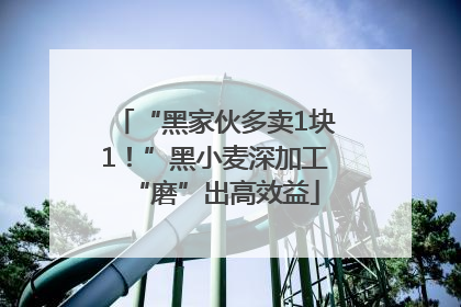 “黑家伙多卖1块1！”黑小麦深加工“磨”出高效益