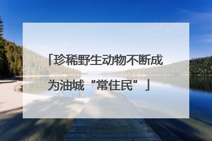 珍稀野生动物不断成为油城“常住民”