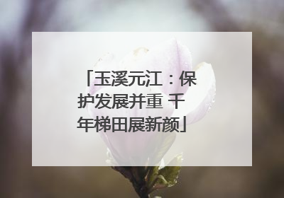 玉溪元江：保护发展并重 千年梯田展新颜