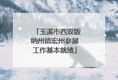 玉溪市西双版纳州德宏州参展工作基本就绪