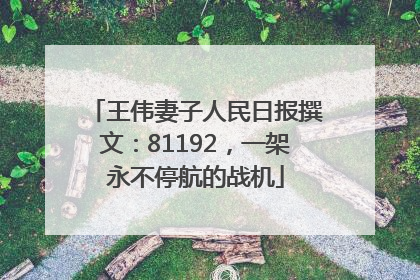 王伟妻子人民日报撰文：81192，一架永不停航的战机