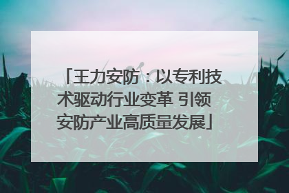 王力安防：以专利技术驱动行业变革 引领安防产业高质量发展